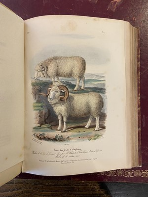 Lot 107 - Low (David). Histoire Naturelle-Agricole des Animaux Domestiques de L'Europe, 1844-46