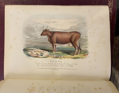 Lot 107 - Low (David). Histoire Naturelle-Agricole des Animaux Domestiques de L'Europe, 1844-46