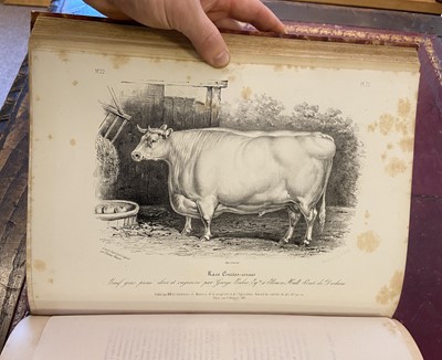 Lot 107 - Low (David). Histoire Naturelle-Agricole des Animaux Domestiques de L'Europe, 1844-46