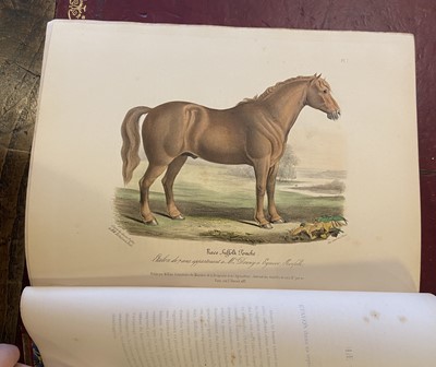 Lot 107 - Low (David). Histoire Naturelle-Agricole des Animaux Domestiques de L'Europe, 1844-46