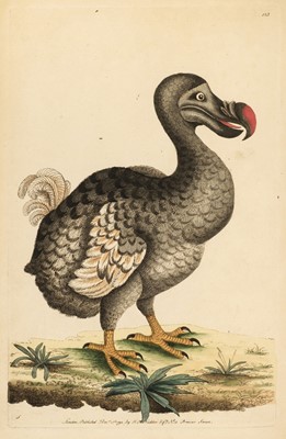 Lot 100 - Shaw (George and Nodder, Frederick). [The Naturalist's Miscellany, vol. 4 only, 1792]