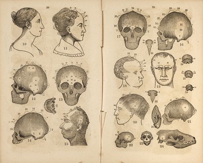 Lot 390 - Fowler (Orson Squire). Fowler's Practical Phrenology... , 1st edition, 1840