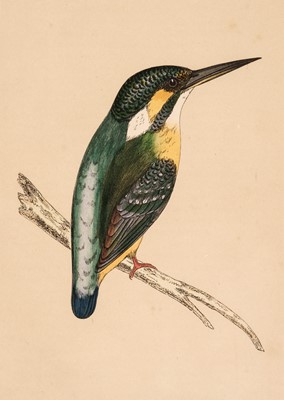 Lot 189 - Birds. A collection of approximately 250 prints, mostly 19th & early 20th-century