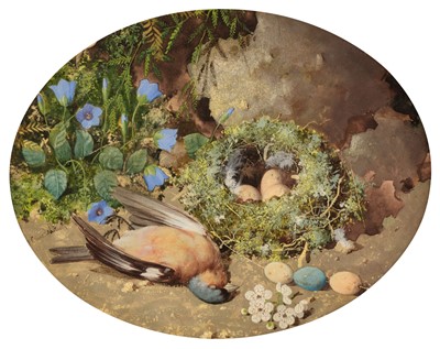 Lot 136 - Cruickshank (William, 1848-1922). Study of a Dead Chaffinch with nest and eggs..., and one other