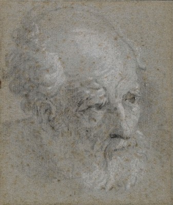 Lot 3 - Caliari (Carlo, 1570-1596). Head of an Old Man, black and white chalk