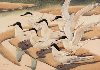 Lot 204 - Cusa (Noel William, 1909-1990). Tern Company, circa 1961