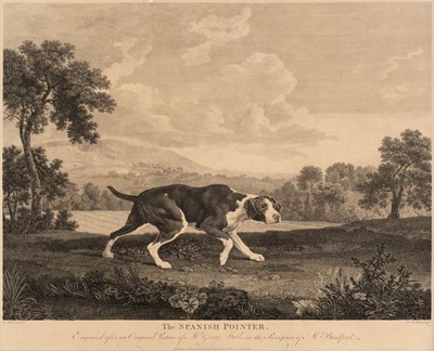 Lot 224 - Stubbs (George, 1724 - 1806). The Spanish Ponter, Thomas Bradford, 1768 [or slightly later]