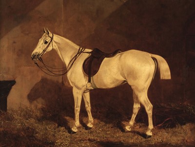 Lot 68 - Manner of John Frederick Herring (1795-1865). Portrait of a Grey Horse, oil on canvas