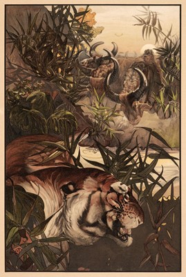 Lot 361 - Detmold (Maurice & Edward). Sixteen Illustrations of Subjects from Kipling's 'Jungle Book', 1903