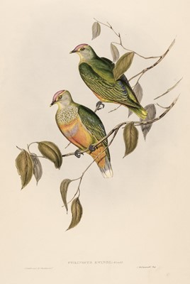 Lot 33 - Gould (John). Ten lithographs originally published in 'Birds of Australia' [1850-83]