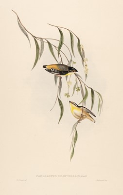 Lot 32 - Gould (John). Ten lithographs originally published in 'Birds of Australia' [1850-83]