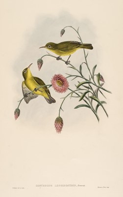 Lot 30 - Gould (J. & Hart W.). Nine lithographs originally published in 'Birds of Australia' [1850-83]