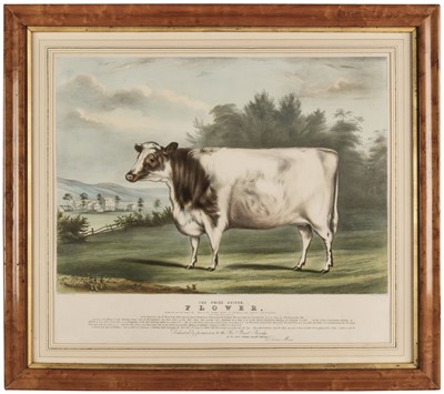 Lot 57 - Moody (C.). The Prize Heifer Flower..., published Boston: Thos. Moses, circa 1850