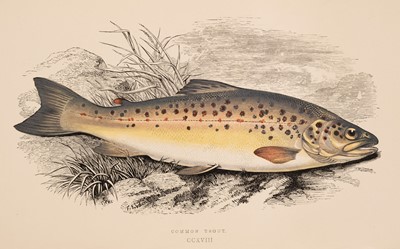 Lot 54 - Couch (Jonathan). A History of the Fishes of the British Islands, 4 volumes, 1867