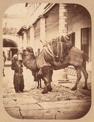 Lot 96 - Rubellin (Alphonse, active 1870-1880). A saddled camel... , Smyrna, Turkey, c. 1880