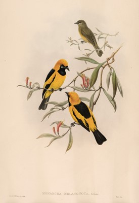 Lot 152 - Gould (John). Five lithographs from 'The Birds of New Guinea' [1875 - 88]