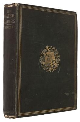 Lot 262 - Kingsley (Charles). The Water-Babies, 1st edition, 2nd issue, London: Macmillan & Co, 1863