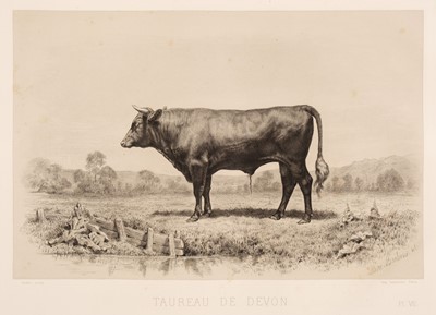 Lot 49 - Baudement (Emile). Les Races Bovines..., Paris: 1862