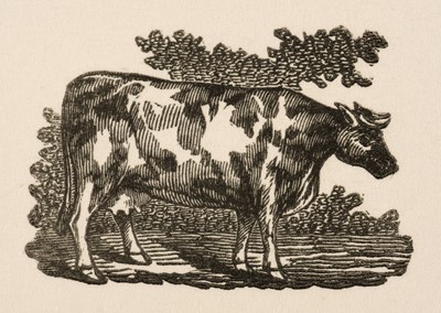 Lot 76 - Thomas Bewick (1753-1828). Elephant, Cow & Horse, three original woodblocks