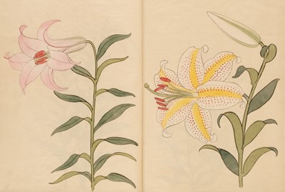 Lot 56 - Japanese Lilies. Manuscript, [?Tokyo], late 19th c.