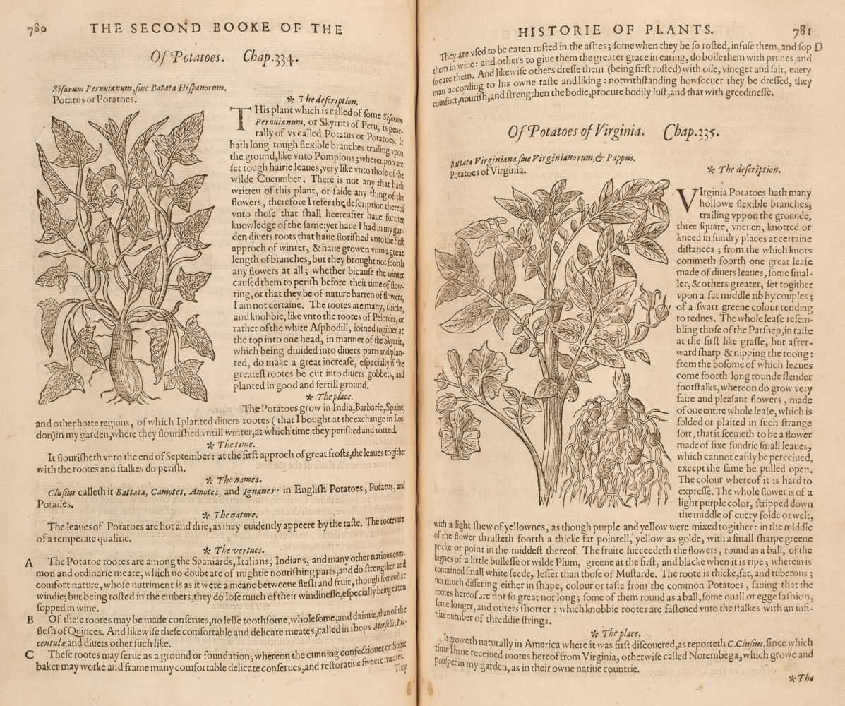 Lot 53 - Gerard (John). The Herball or Generall Historie of Plantes, 1st edition, 1597