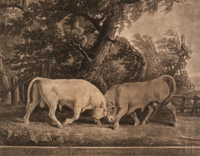 Lot 141 - Stubbs (George Townley). Bulls Fighting, Benjamin Beale Evans, 1788