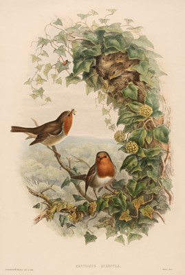 Lot 260 - Gould (John, 1804-1881). Erythacus Rubecula [1862 - 73]