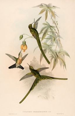 Lot 261 - Gould (John, 1804-1881). Fifteen lithographs of Humming Birds [1849 - 61]