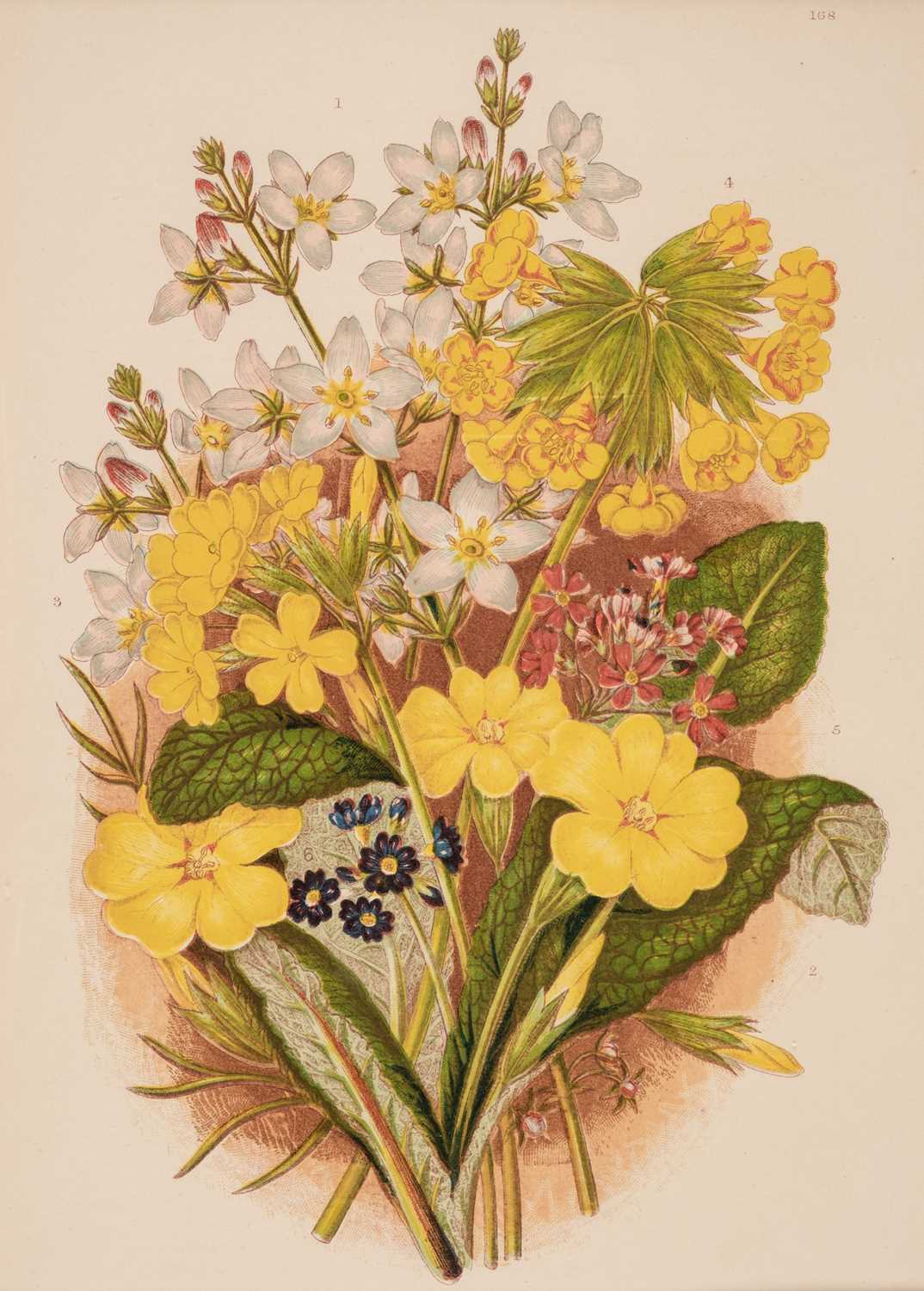 Lot 101 - Botany. A collection of approximately 160