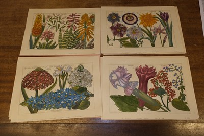 Lot 240 - Arena (Filippo, 1708-1789). A collection of 36 Botanical Engravings, 1767