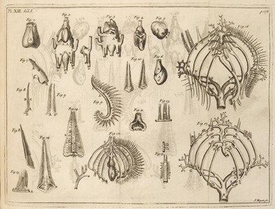 Lot 354 - Martyn (John). The Philosophical history and memoirs of the Royal Academy of Sciences at Paris, 5 vols, 1742