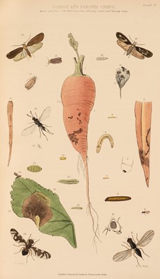 Lot 68 - Curtis (John). Farm Insects, 1883