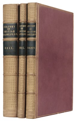 Lot 57 - Bell (Thomas). A History of British Quadrupeds, 1st edition, 1837