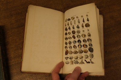 Lot 129 - Wood (William). Index Testaceolgoicus, new edition, 1856