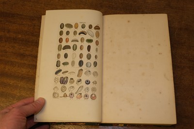 Lot 129 - Wood (William). Index Testaceolgoicus, new edition, 1856