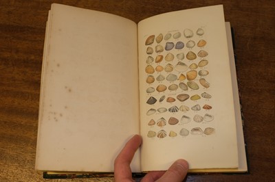 Lot 129 - Wood (William). Index Testaceolgoicus, new edition, 1856