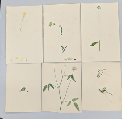 Lot 101 - Strickland Family Archive. A collection of 200 drawings, and other related items