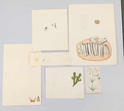 Lot 101 - Strickland Family Archive. A collection of 200 drawings, and other related items