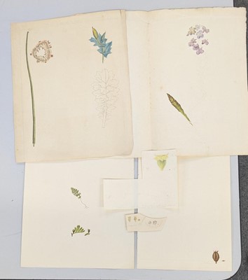 Lot 101 - Strickland Family Archive. A collection of 200 drawings, and other related items