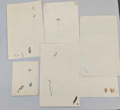 Lot 101 - Strickland Family Archive. A collection of 200 drawings, and other related items