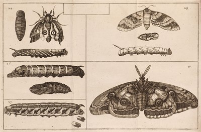 Lot 86 - Goedart (Johannes). De Insectis..., 2nd edition, 1685