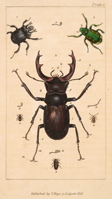 Lot 112 - Samouelle (George). The Entomologist's Useful Compendium, 1st edition, 1819