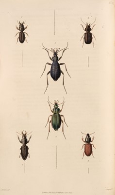 Lot 119 - Stephens (James Francis). Illustrations of British Entomology, 5 volumes, 1828-46