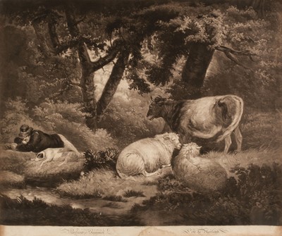 Lot 253 - Domestic Animals. A collection of approximately 29 engravings, 18th & 19th century