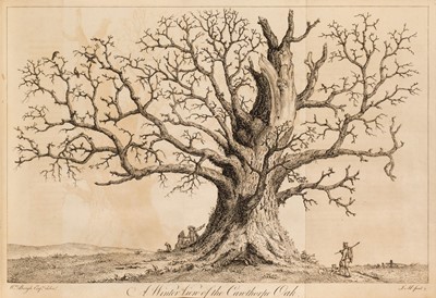 Lot 81 - Evelyn (John). Silva: or, A Discourse of Forest-Trees, 1776