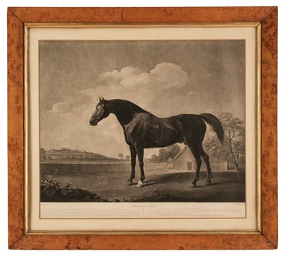 Lot 300 - Stubbs (George). Protector, J & J Boydell, 1790