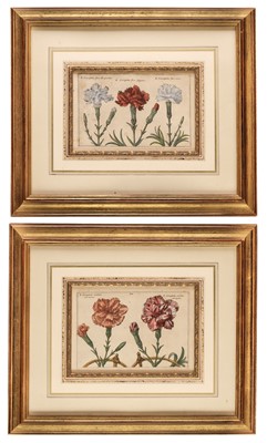 Lot 305 - Van der Passe (Crispin). Pair of Engravings of Carnations [1614 - 16]