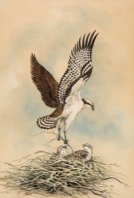 Lot 255 - Fry (Frances). Osprey, late 20th-century