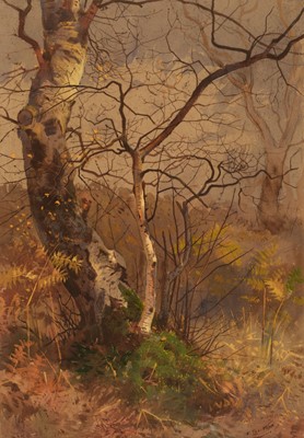 Lot 195 - Thorburn (Archibald, 1860-1935). Silver Birch, watercolour and gouache