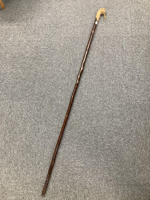Lot 743 - Walking Stick. A walking stick with woodcock terminal, hand carved by Ian James